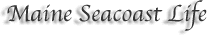 Maine Seacoast Life