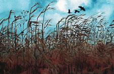 Sold Paintings: Head Winds